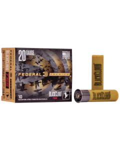 Federal 20 Gauge  10 RD PWBTSSX20939