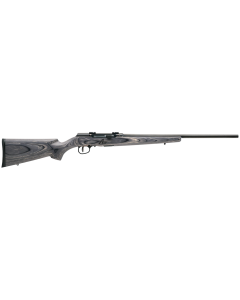 Savage A17 Sporter 17 WSM Semi-Auto 22" 8+1 RD 47801