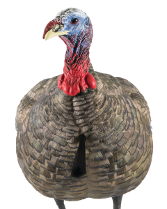 Avian X LCD Quarter-Strut Jake Turkey Species Decoy - AVXAVX8003