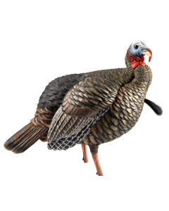 Avian X HDR Jake Turkey Decoy - AVXAVX8105