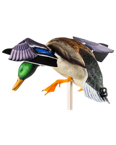 Avian X PowerFlight Mallards Species Decoy, Features Dual Mode Remote - AVXAVXDP101