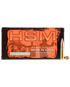 HSM 300 Blackout  220 GR 20RD 300BLK4N