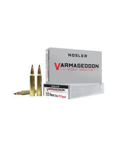 Nosler 223 Rem  53 GR 20RD 65139