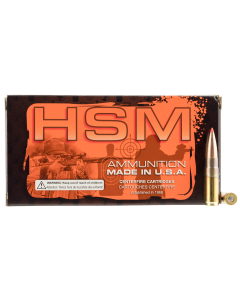 HSM 300 Blackout  208 GR 20RD 300BLK1N