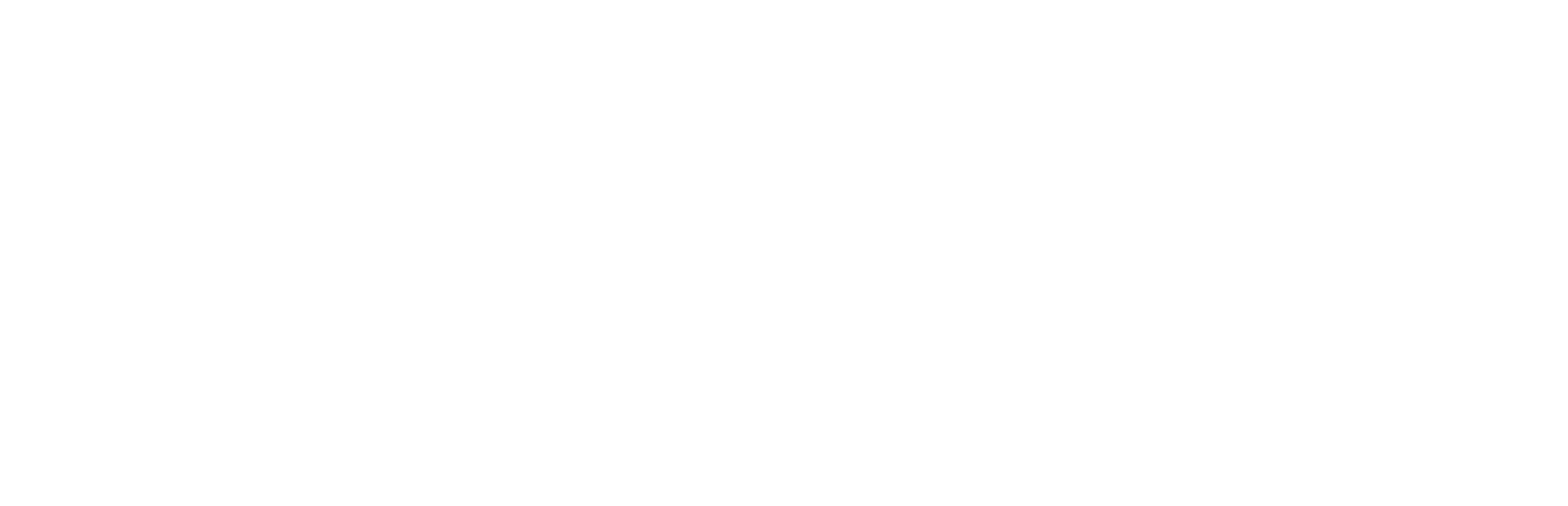 RK Guns